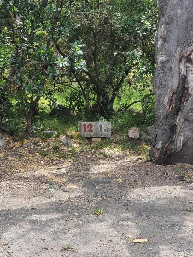 Marina Di Pinarello, Appt Climatise A 400M De La Plage Zonza Buitenkant foto