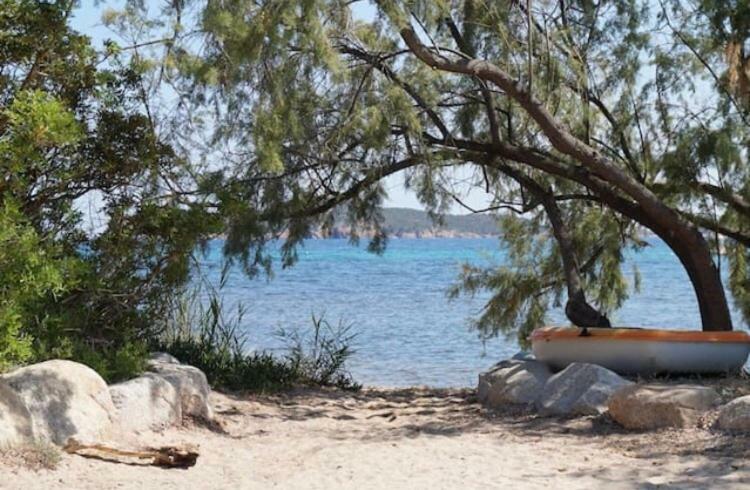 Marina Di Pinarello, Appt Climatise A 400M De La Plage Zonza Buitenkant foto