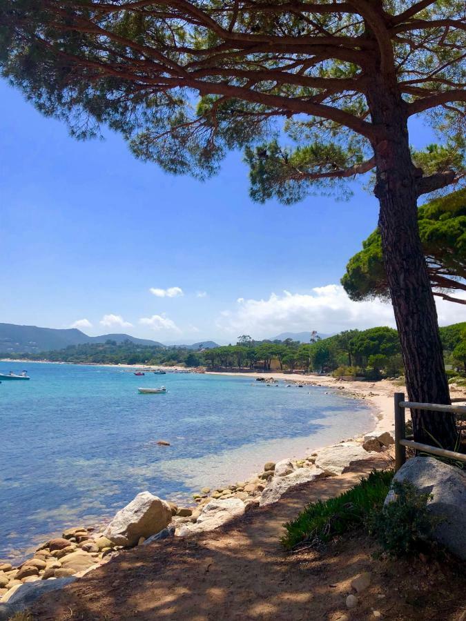 Marina Di Pinarello, Appt Climatise A 400M De La Plage Zonza Buitenkant foto